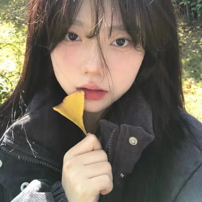 父女情深